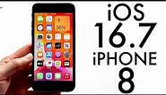 iOS 16.7 On iPhone 8 Review! (Features, Changes, Etc.)