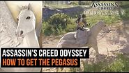 How to get the Pegasus, unicorn and black unicorn skins in Assassin's Creed Odyssey