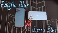 iPhone 13 Pro Max Sierra Blue Vs 12 Pro Max Pacific Blue