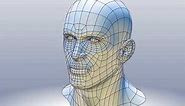 CAD model of human head M1P1D0V1head