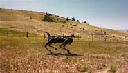 Terrifying 'Terminator' robot dog with AI-targeting rifles tested by US Marines