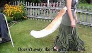 Tail Examples