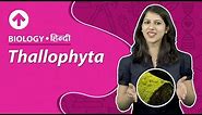 Thallophyta | Hindi | Biology
