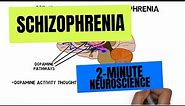 2-Minute Neuroscience: Schizophrenia