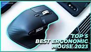 Top 5 Best Ergonomic Mouse of 2023