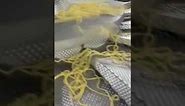 Paxon Packaging automatic packing line for freshly cooked long pasta
