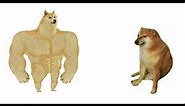 BUFF DOGE VS. CRYING CHEEMS MEME COMPILATION