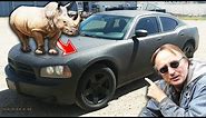 Modified Dodge Charger Police Car - Custom Rhino Liner Paint Job