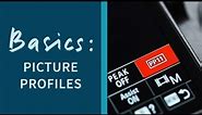 Picture Profiles Explained on Sony Cameras! PP1 to PP11 - Basics Episode 4