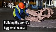 Titanosaur timelapse: Building the world's biggest dinosaur | Natural History Museum