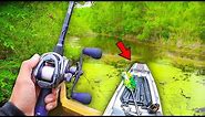 Exploring SMALL Creeks for BIG Bass (Kayak Fishing)