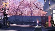 Akari Shinohara Cherry Blossom Road 5 Centimeters Per Second Live Wallpaper - MoeWalls