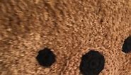 Teddy Bear Pillow Pattern by Fat Lady Crochet