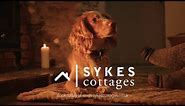 Pet-Friendly Holidays with Sykes Cottages