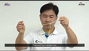 Cooperative rubber band Cup Stacking| Icebreaker | Team-building Game | Made in Korea