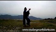 Wudang Tai Chi 108 by Master Chen Shiyu