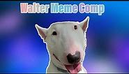 Walter the dog meme Compilation