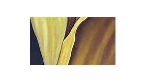 Dancing Tulip Yellow tulip Surrealistic Flower painting