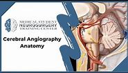 Cerebral Angiography Anatomy