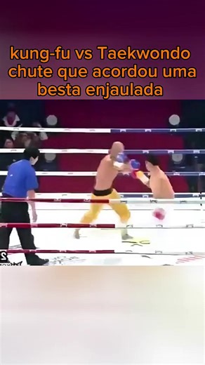 A Luta Épica: Taekwondo vs. Kung Fu