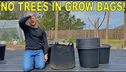 DON'T Plant Fruit Trees In Fabric Grow Bags!!!