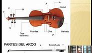 Clase 1: Partes del violin