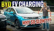 Why is the BYD Dolphin/Atto 3 slow to charge? Here's why | EV Guide