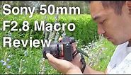 Sony 50mm F2.8 Macro FE Lens Review | John Sison