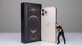 iPhone 12 Pro Max GOLD Unboxing + Size Comparison