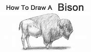 How to Draw a Bison (Buffalo)