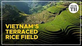 Spectacular rice terrace fields of Vietnam