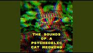 The sounds of a psychedelic cat meowing