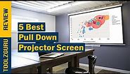 Best Pull Down Projector Screen On 2024