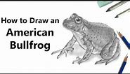 How to Draw an American Bullfrog with Pencils [Time Lapse]