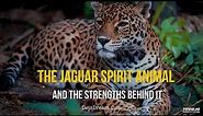 The Jaguar Spirit Animal And The Strengths Behind It