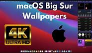 How to Download macOS Big Sur 4k Wallpaper | macOS Big Sur HD Wallpapers
