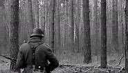 World War II German Wehrmacht Infantry Soldiers Of World War II Marching Along Forest In Spring
