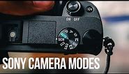 Sony Camera Basics! | Understanding Your Camera Dial