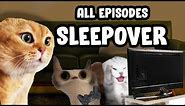 SLEEPOVERS CAT MEME COMPILATION...