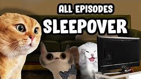 SLEEPOVERS CAT MEME COMPILATION...