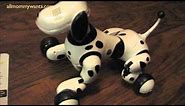 Zoomer The Interactive Robot Dog by Spin Master Review