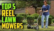 ✅ Top 5 Best Reel Lawn Mowers Review [ Top Rated ]