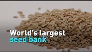 World’s largest seed bank