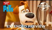 The Secret Life Of Pets | Max Doesn't Like His New Roommate | Extended Preview