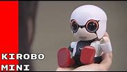 Kirobo Mini - Toyota Robot