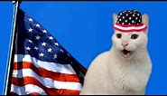 United States of America's National Anthem by Cats