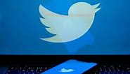 Twitter limits daily posts users can view