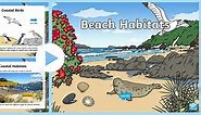 KS1 Beach Habitat Information PowerPoint