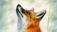 Acrylic Speed-painting | Realistic Red Fox Drawing
