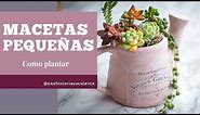 Como Plantar Suculentas en Macetas Pequeñas tips